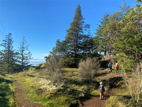 Bay Area outdoors: 10 guided State Park ‘First Day’ hikes to start off 2024
